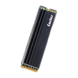 Cactus 270P M.2 2280 NVMe SSD with heat sink