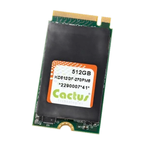Cactus 270PM6 M.2 2242 NVMe SSD